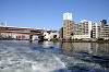 cruise_0474_mini.jpg
