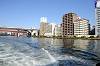 cruise_0476_mini.jpg