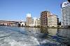 cruise_0477_mini.jpg