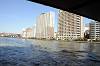 cruise_0481_mini.jpg