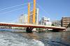 cruise_0486_mini.jpg