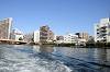 cruise_0494_mini.jpg