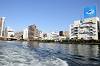 cruise_0495_mini.jpg