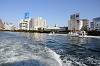 cruise_0497_mini.jpg