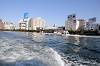 cruise_0498_mini.jpg