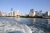 cruise_0500_mini.jpg