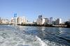 cruise_0501_mini.jpg
