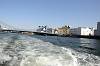 cruise_0517_mini.jpg