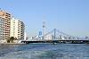cruise_0519_mini.jpg