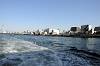 cruise_0527_mini.jpg