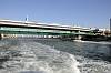cruise_0535_mini.jpg