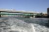 cruise_0536_mini.jpg