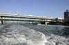 cruise_0537_mini.jpg