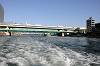 cruise_0539_mini.jpg