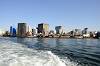 cruise_0557_mini.jpg