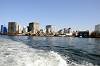 cruise_0558_mini.jpg