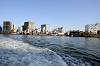 cruise_0559_mini.jpg