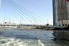 cruise_0570_mini.jpg