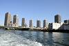 cruise_0595_mini.jpg