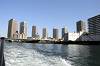 cruise_0598_mini.jpg