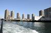 cruise_0599_mini.jpg