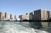 cruise_0601_mini.jpg