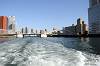 cruise_0614_mini.jpg