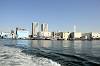 cruise_0641_mini.jpg
