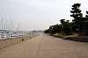 enoshima_0144_mini.jpg