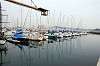 enoshima_0145_mini.jpg