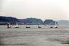 enoshima_0156_mini.jpg