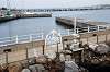 enoshima_0170_mini.jpg