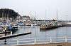 enoshima_0172_mini.jpg