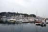 enoshima_0180_mini.jpg