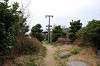 enoshima_0185_mini.jpg