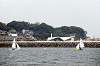 enoshima_0314_mini.jpg