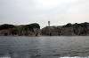 enoshima_0364_mini.jpg