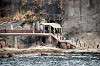 enoshima_0390_mini.jpg
