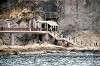 enoshima_0391_mini.jpg
