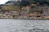enoshima_0393_mini.jpg