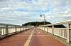 enoshima_0709_mini.jpg