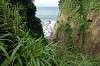 enoshima_0732_mini.jpg