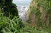 enoshima_0735_mini.jpg