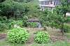 enoshima_0748_mini.jpg