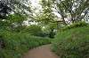 enoshima_0751_mini.jpg