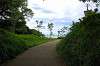 enoshima_0752_mini.jpg