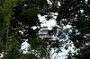 enoshima_0761_mini.jpg