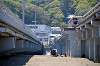 fujisawa_sea_0050_mini.jpg