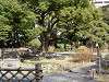 hamarikyu_0020_mini.jpg