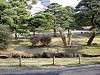 hamarikyu_0022_mini.jpg